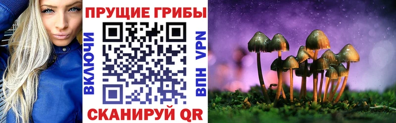наркотики  Старый Крым  Псилоцибиновые грибы мицелий 